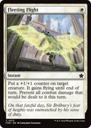 Image for Fleeting Flight