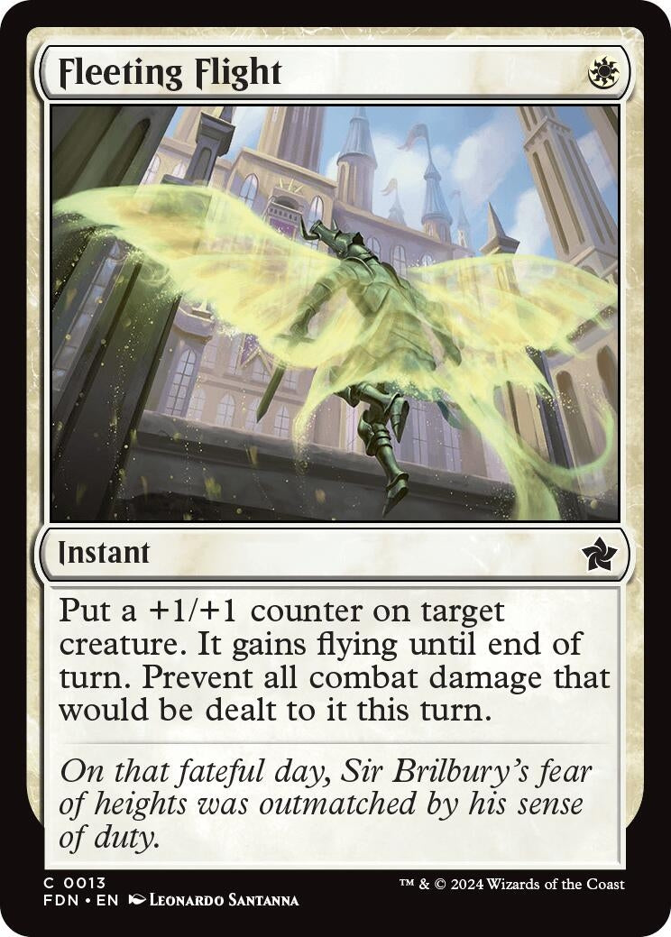 Image for Fleeting Flight