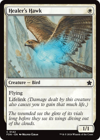 Image for Healer's Hawk