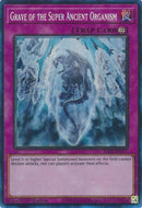 Image for Grave of the Super Ancient Organism (PCR) (3077)
