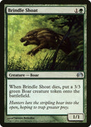 Brindle Shoat (60) [PC2]