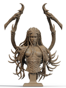 Kerrigan Resin Bust - view 1