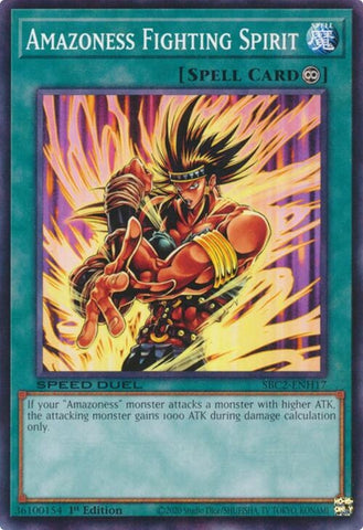 Image for Amazoness Fighting Spirit (SBC2-ENH17) [SBC2]