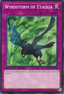 Image for Windstorm of Etaqua (SBC2-ENH21) [SBC2]