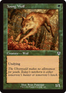 Image for Young Wolf (Retro Frame) (425) [INR]