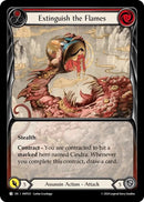 Image for Extinguish the Flames (HNT031)