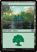 Image for Forest (0290) (290) (DFT)