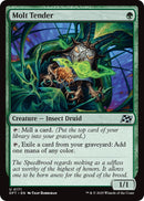 Image for Molt Tender (171) (DFT)