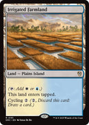 Image for Irrigated Farmland (161) (DRC)