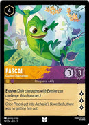 Image for Pascal (19/204) [7]