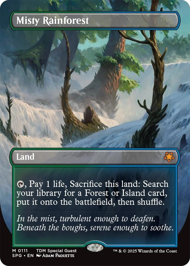 Image for Misty Rainforest (Borderless) (111) (SPG)