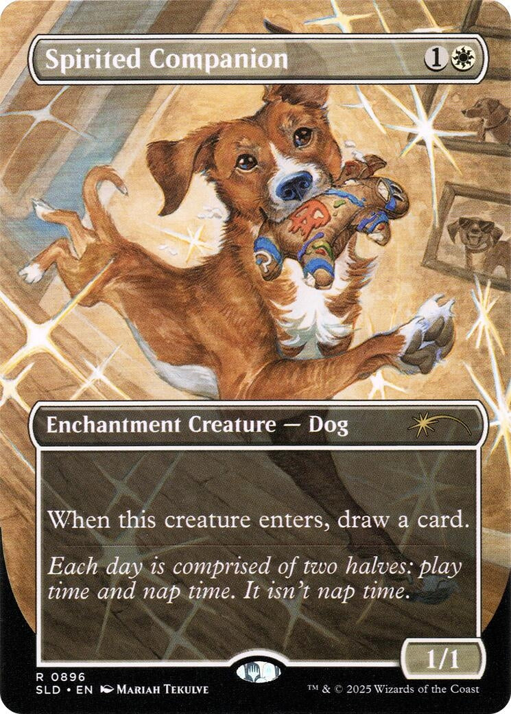 Image for Spirited Companion (0896) (896)