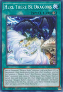 Image for Here There Be Dragons (ALIN-EN061) (Alliance Insight) - YuGiOh