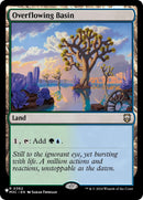 Image for Overflowing Basin (362) - Magic: The Gathering