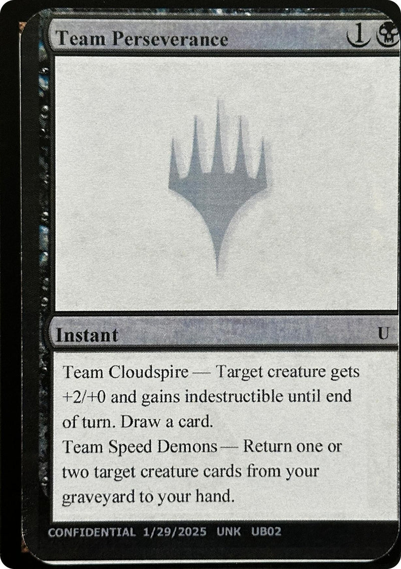 Image for Team Perseverance - Magic: The Gathering