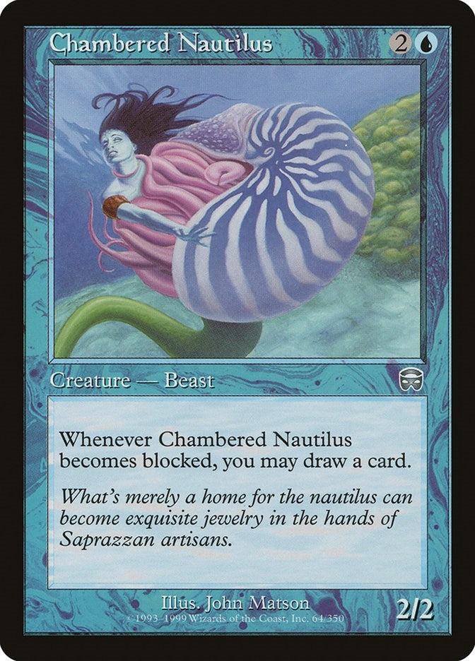 Chambered Nautilus (64) [MMQ]