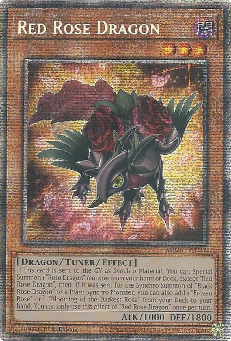 Image for Red Rose Dragon (MP25-EN037) (2025 Mega-Pack) - YuGiOh