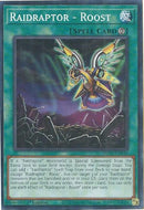 Image for Raidraptor - Roost (MP25-EN316) (2025 Mega-Pack) - YuGiOh