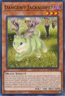 Image for Danger!? Jackalope? (MP25-EN448) (2025 Mega-Pack) - YuGiOh
