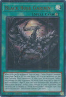 Image for Black Rose Garden (DOOD-EN055) (Doom of Dimensions) - YuGiOh