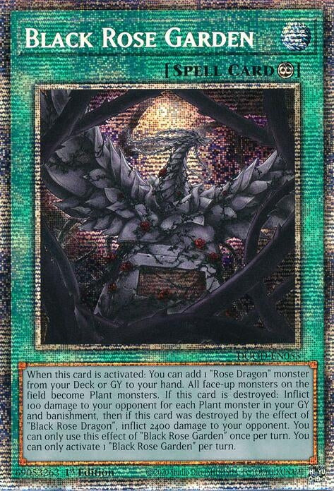 Image for Black Rose Garden (Starlight Rare) (DOOD-EN055) (Doom of Dimensions) - YuGiOh