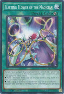 Image for Fleeting Flower of the Magician (DOOD-EN089) (Doom of Dimensions) - YuGiOh