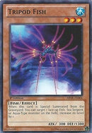Tripod Fish (ABYR-EN006) [ABYR]