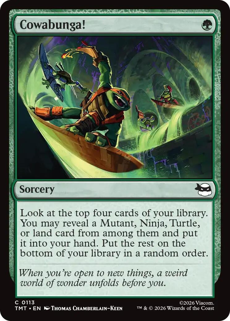 Cowabunga! (113) (Teenage Mutant Ninja Turtles)