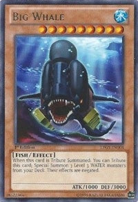 Big Whale (LTGY-EN008) [LTGY]