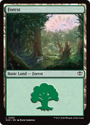 Image for Forest (0280) (280) (Secrets of Strixhaven) - Magic: The Gathering