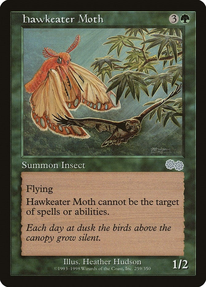 Hawkeater Moth (259) [USG]