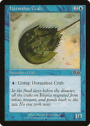 Horseshoe Crab (80) [USG]