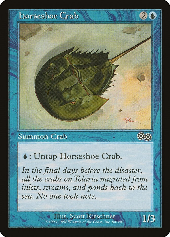Horseshoe Crab (80) [USG]