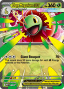 Image for Mega Meganium ex (034) (Jumbo Cards) - Pokemon