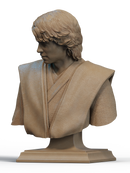 Anakin Skywalker Resin Bust - view 2