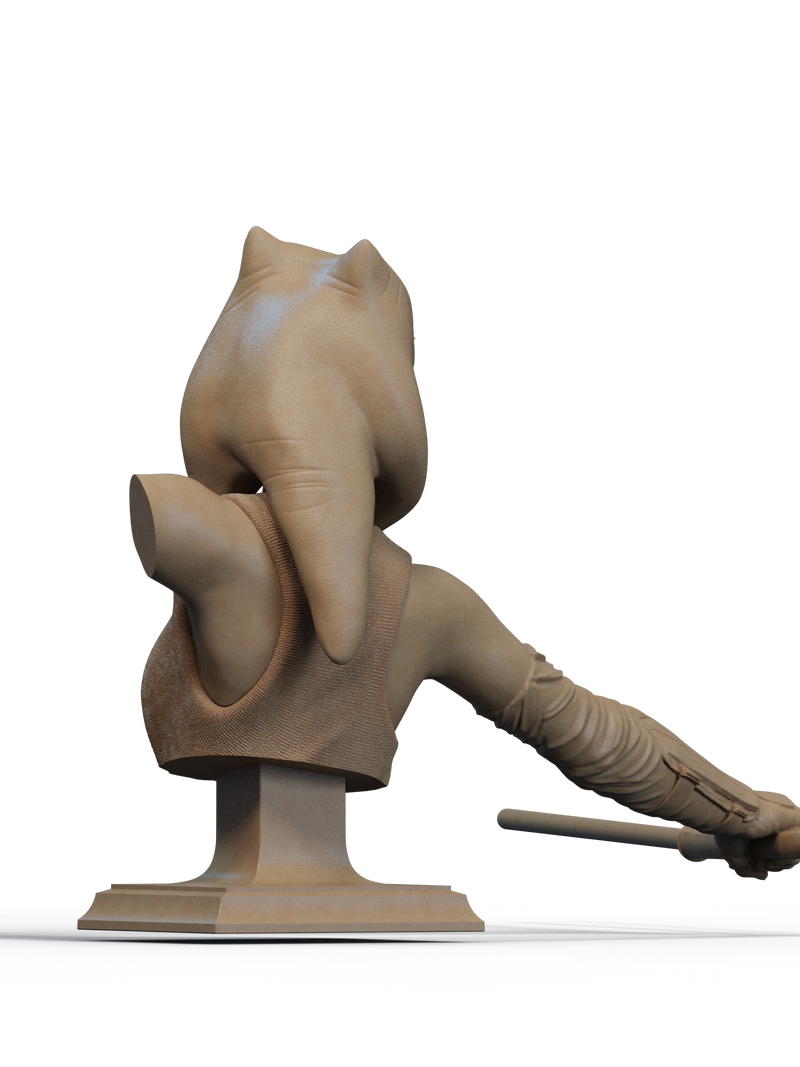 Ahsoka Tano Resin Bust - Design 1 - view 2