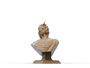 Hades Resin Bust - Design 1 - view 5