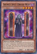 Secret Sect Druid Wid (SHSP-EN008) [SHSP]