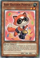 Baby Raccoon Ponpoko [SHSP-EN014] Common