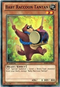 Baby Raccoon Tantan (SHSP-EN015) [SHSP]