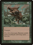 Pygmy Razorback [PCY]