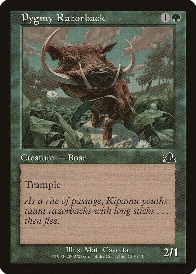 Pygmy Razorback [PCY]
