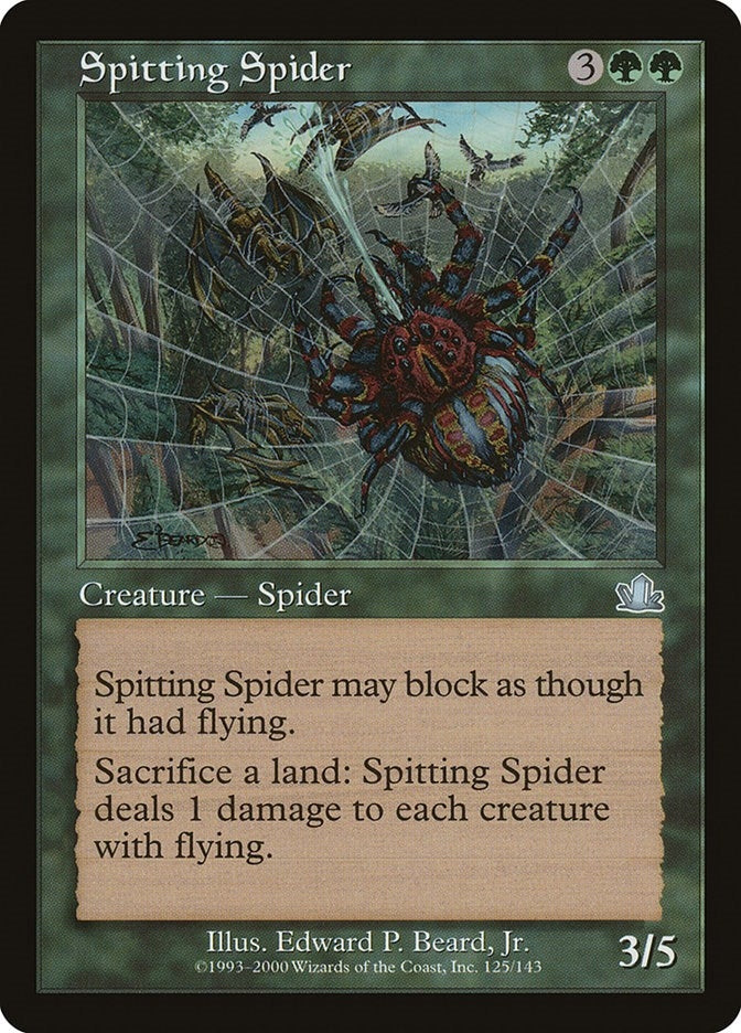 Spitting Spider [PCY]