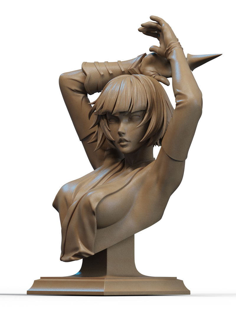 Soi Fon Resin Bust - view 1