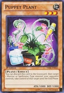 Puppet Plant (YSKR-EN022) [YSKR]