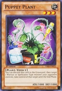 Puppet Plant (YSKR-EN022) [YSKR]