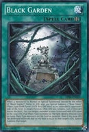 Black Garden (AP04-EN025) [AP04]