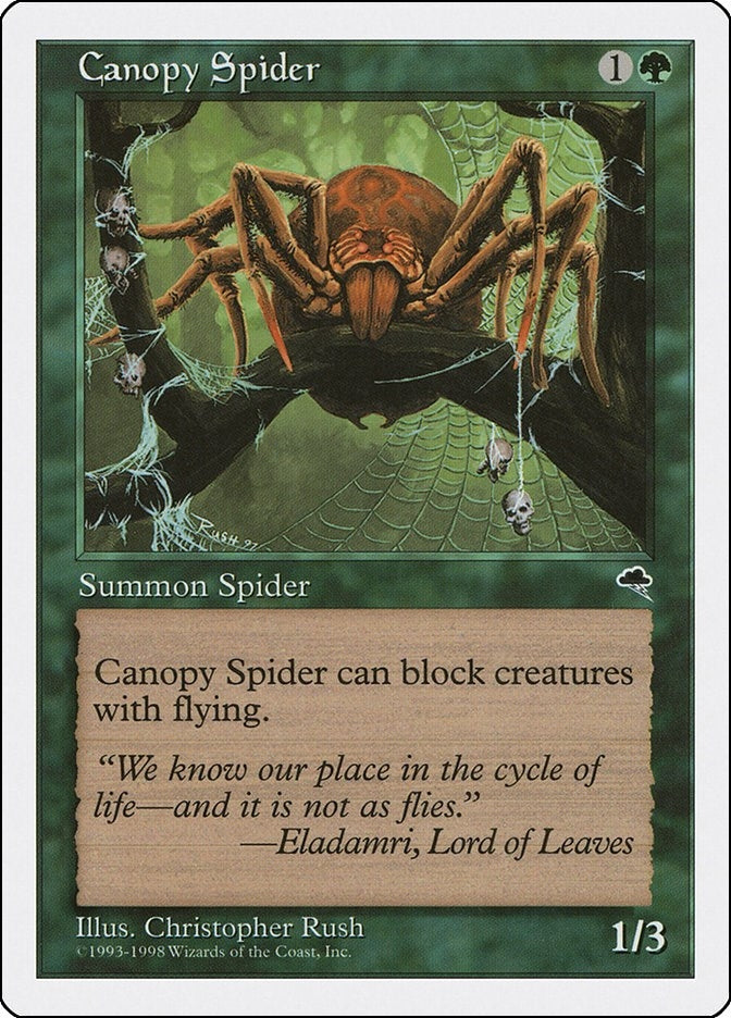 Canopy Spider (64) [ATH]