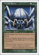 Woolly Spider (30) [DKM]