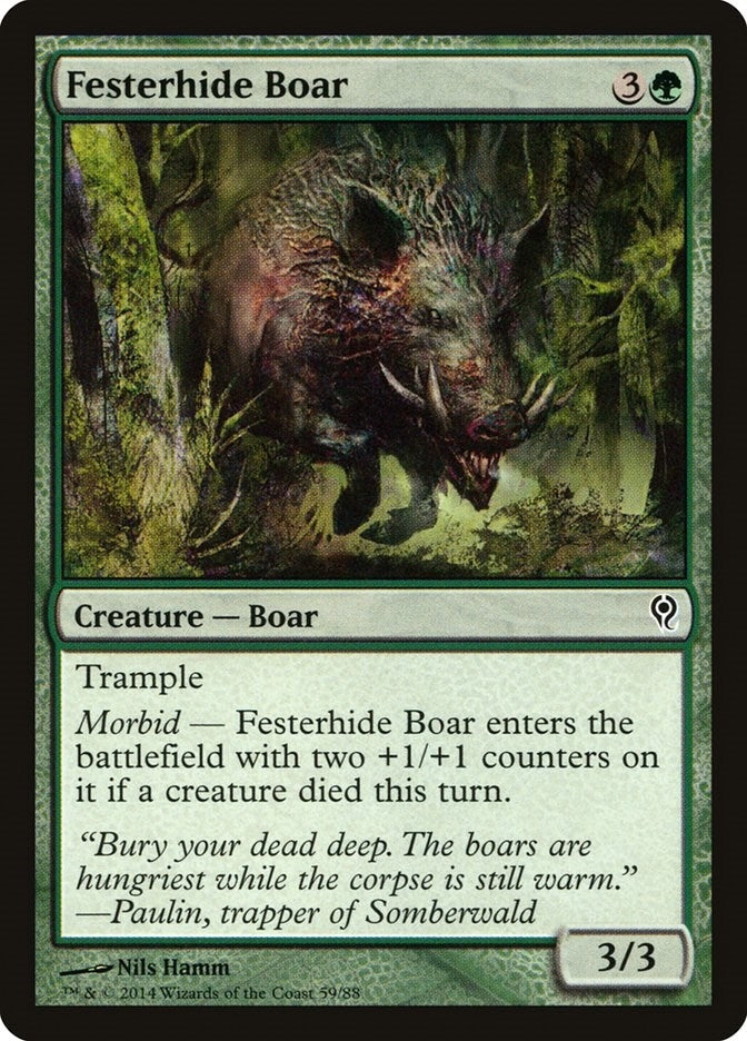 Festerhide Boar (59) [DDM]